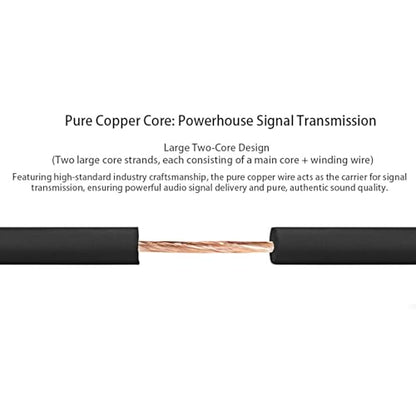 3.5mm to Dual 6.35mm Stereo Y Splitter Cable, 1/8" Male to Dual 1/4" Mono Male Audio Breakout Cord, Gold Plated Heavy Duty 5 Feet