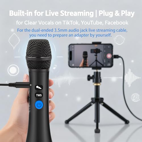 YF79 20W Wireless Karaoke Mic, 2 Mics, 10H Battery, for Home/Party - color: YF79