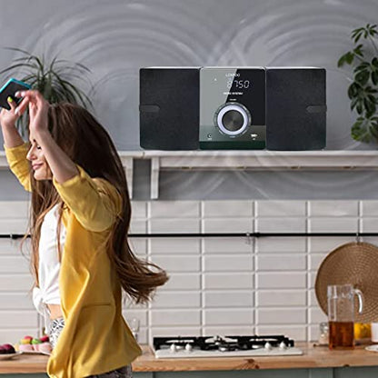 Compact Stereo System Speakers with CD Player, Bluetooth, FM Radio, Aux-in, USB-in, Earphone Jack, DSP-Tech, Remote, 30W Crisp-Sound Shelf Stereo System for Home (LP-886)
