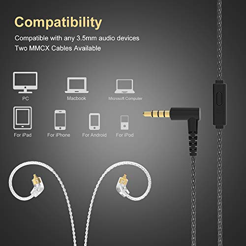 BASN Metalen 4 Drivers in-Ear Monitor Headphones, Wired Earbuds, Gray | 2BA+2DD Musicians Noise Isolating IEMs with Deep Bass, Two Detachable MMCX Cables with Case for Singers,Drummers,Bassists - color: Gray