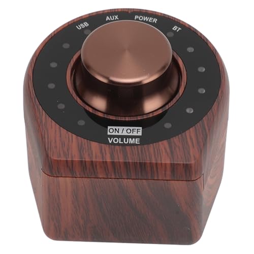 100W 5.0 Small Amplifier, HiFi Stereo Sound Digital Amp with AUX USB BT, for Mobile Phones Tablets Computers TVs Speakers
