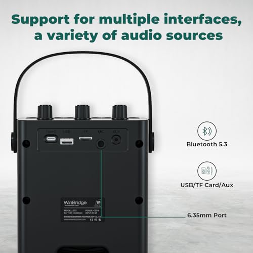 30W Wireless Voice Amplifier with Headset Microphone | Portable Bluetooth 5.3 PA System for Teachers, Personal Rechargeable Megaphone with Speaker for Teaching & Speaking S93