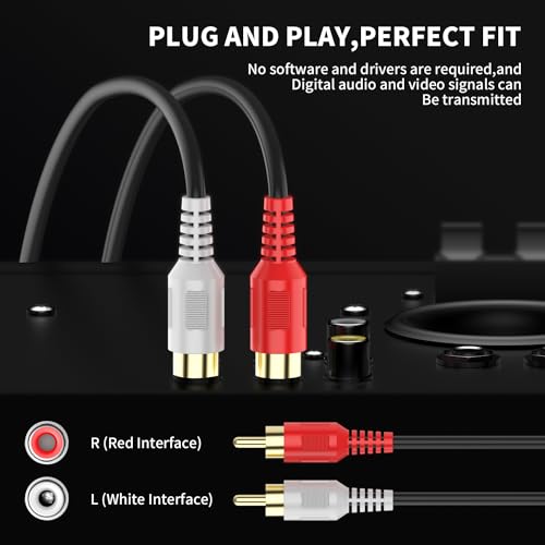 RCA Cable10ft,2RCA M/M Stereo Audio Cable [24K Gold Plated | Copper Core] 2RCA Male to 2RCA Male.for Home Theater, HDTV, Amplifiers, Hi-Fi Systems,Speakers - size: 10ft