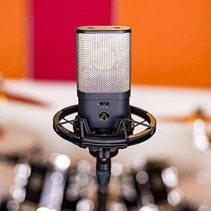 Austrian Audio OC16 Large-Diaphragm Cardioid Condenser Microphone Bundle Hi-X15 Professional Closed-Back Over-Ear Headphones