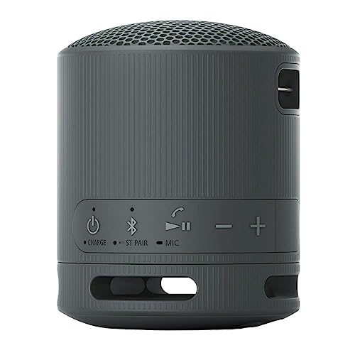 Sony SRS-XB100 Wireless Bluetooth Portable Travel Speaker Bundle (Black) | Travel case, Strap, (2 items) - color: Black