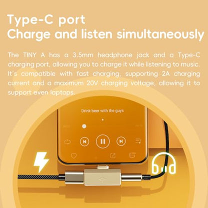 FiiO/Snowsky Tiny Portable DAC & Headphone Amplifier, Hi-Res USB DAC, PEQ Precision Tuning, PCM 384kHz/DSD256 Decoding, Android App/Web Control (3.5mm + Type-C Dual Ports,Tiny A Silver)