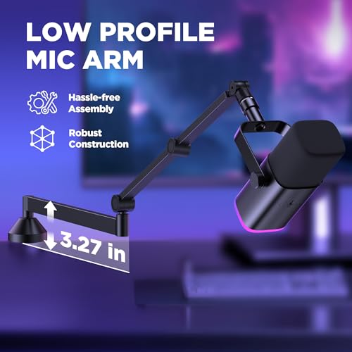 InnoGear Mic Stand Set, Detachable Microphone Stand Floor & 360° Rotatable Low Profile Mic Arm, Adjustable for Fifine AM8 K669B Blue Yeti HyperX QuadCast SoloCast AT2020 and Other Mics