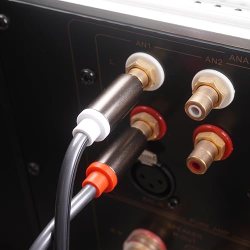 RCA to XLR HiFi Audio Cable 5 Feet, 2 RCA Male to 2 XLR Female, Black with Red/Black Tail, 4N OFC Wire and Gold-Plated Conductors for Amplifier, Mixer, Microphone - size: 5FT, style: 2 RCA Male to 2 XLR Female