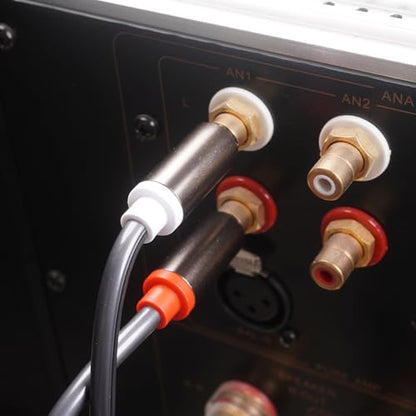 RCA to XLR HiFi Audio Cable 10 Feet, 2 RCA Male to 2 XLR Female, Black with Red/Black Tail, 4N OFC Wire and Gold-Plated Conductors for Amplifier, Mixer, Microphone - size: 10FT, style: 2 RCA Male to 2 XLR Female