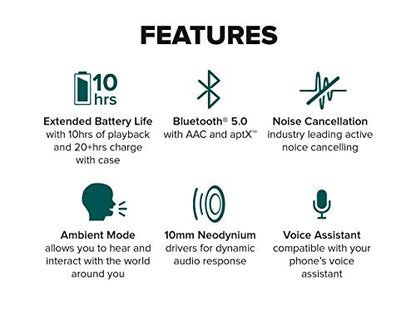Cleer Audio Ally Plus, True Wireless Hybrid Noise Cancelling Earbuds with 30 Hour Battery, Water Resistant, Music & Calls (Warm Grey)