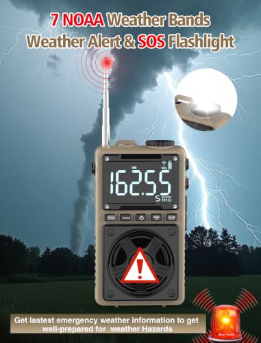 AM FM Shortwave Radio with NOAA Weather Alert,1250mAh Rechargeable Battery | Bluetooth Portable Pocket Radio with Best Reception 5W Big Speaker Earphone,Support SD Card and USB Player Brown - color: Brown
