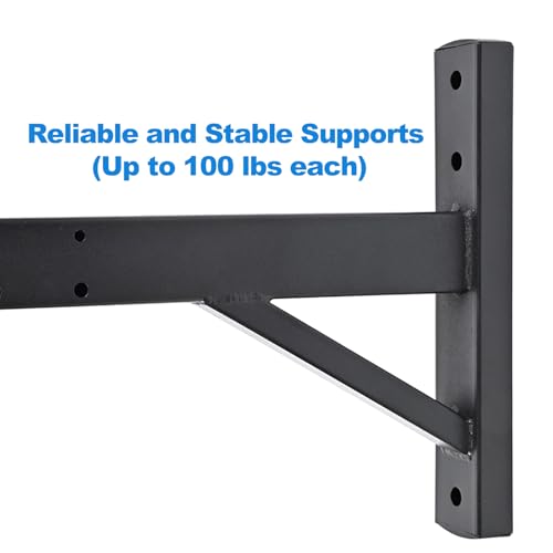 Speaker Wall Mount, Holds up to 100lbs, Tilt, 2 Packs | Heavy Duty Wall Speaker Mount bracket for Professional Audio, DX-319, Black