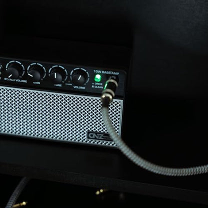 Rechargeable Wireless BT Mini Bass Guitar Amplifier 10 Watt Practice Amp 10,000Ah Battery, BT or Aux Input, Headphone Out, Clean, Gain, Tone & Volume Knobs, Dual Full Frequency Speakers