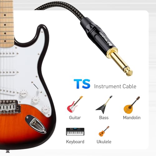 Cable Matters 2-Pack Braided 1/4 Inch TS to TS Guitar Cable, 6ft - size: 6 ft, style: Braided