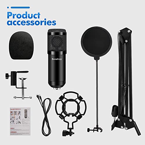 Bwrethay USB Microphone,Professional Microphone 192kHz/24Bit Plug & Play PC Computer Condenser Cardioid Mic Kit with Adjustable Boom Arm Stand Shock Mount,for Podcast,Streaming,StudioRecording, Black