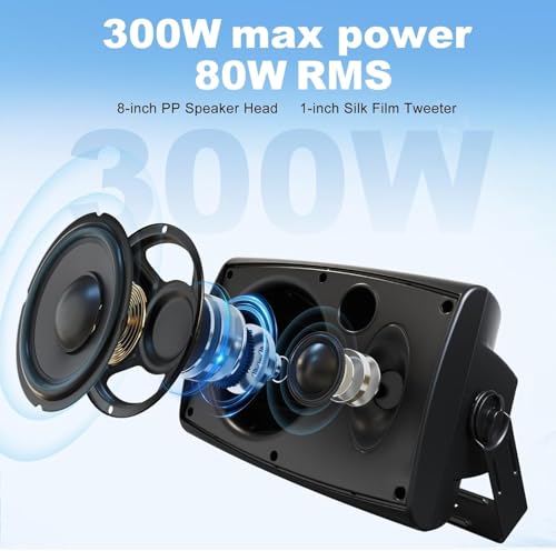 Herdio 8 Inch 600W Outdoor Bluetooth Speakers Waterproof with Powerful Bass, TWS Pairing Wall Mount Durable Loud Sound System | Ideal for Large Spaces: Commercial Areas, Spacious Backyards (Black) - color: Black