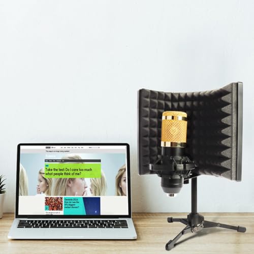 HANABASS Portable Folding Microphone Windshield Shield with Sponge and Metal Three Panels Combination, Sound Absorber Panel for Studio Recording and Broadcasting Room, Easy to Carry