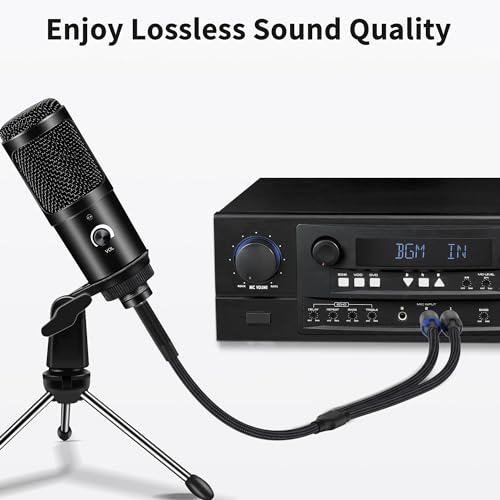 3.5mm 1/8 TRS to Dual 6.35mm 1/4 TS Mono Breakout Cable Y Splitter Stereo Cord Adapter Compatible with iPhone, iPod, Computer Sound Card, CD Player, Multimedia Speaker, Home Stereo System-10FT - size: 10FT