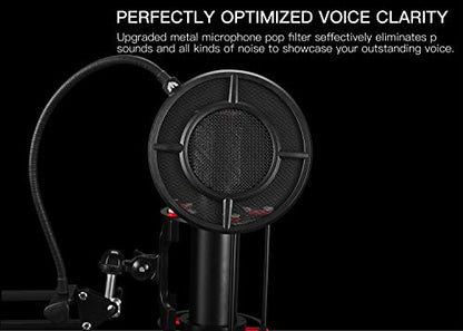 Mic Pop Filter, Professional Metallic Mic Pop Filter Mesh for Blue Yeti and Any Other Mic, ARISEN Dual Layered Microphone Pop Filter, Mic Filter with A Flexible 360° Gooseneck Clip Stabilizing Arm
