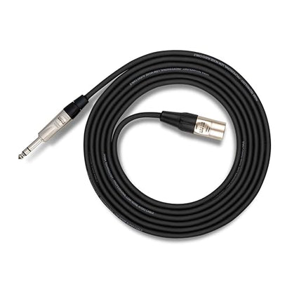 Hosa HSX-010 Pro Balanced Interconnect - REAN 1/4-inch TRS Male to XLR3 Male - 10 Foot | REAN 1/4-inch TRS Male to XLR3 Male, 10 Foot