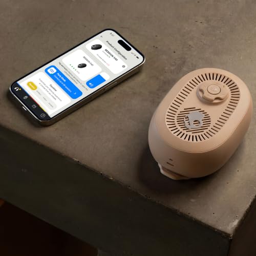 Skullcandy Session 540 Portable Lightweight Bluetooth Speaker - Primer | Waterproof, Dustproof, 17 Hours of Playtime, Built for Home, Outdoors, Party, Travel, Big Sound, iPhone Android Compatible - color: Primer