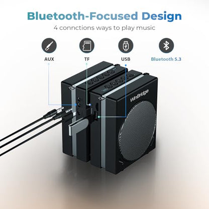 WinBridge Portable PA System 30W Voice Amplifier with Dual Wireless Mics