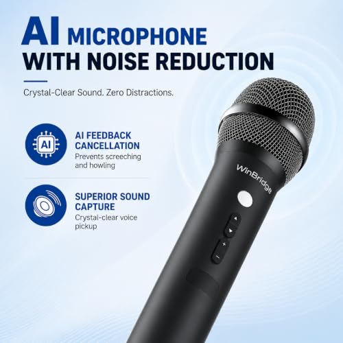 Bluetooth Microphone Wireless Voice Amplifier With 3 Sound Effects H9