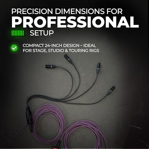Sound Tools CAT Tails FMX - 무대 및 라이브 사운드용 알루미늄 하우징 | 4 채널 2 수 + 2 암 XLR to EtherCON 브레이크 아웃 테일 - CAT5e/6/7을 통한 아날로그 오디오 보내기/반환 - Neutrik 커넥터 - size: XLR - Send Receive