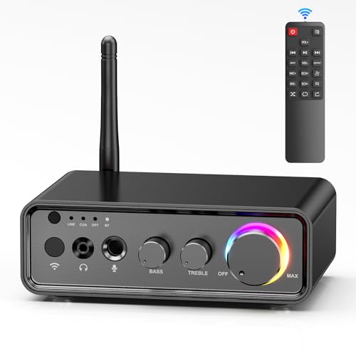 M19 BT Amplifier Stereo Receiver, Bluetooth 5.3 Mini Amplifier 2 Channels 100W x2 HiFi Class D Amp with RCA/Optical/Coaxial/Mic Input and Bass Treble Control for Home Outdoor Speakers