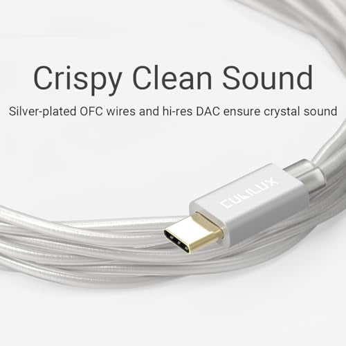 USB Type C 2-Pin 0.78mm IEM Cable with Microphone, Silver Plated OFC Wires Replacement Cable with Detachable Boom MIC for Wan'er S.G, ZS10 Pro, ZS10 Pro X, ZSN PRO, ZSX, 4 Feet - style: USB C