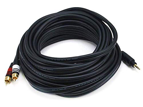 Monoprice Audio Cable - 10 Feet - Black | Premium Stereo Male to 2 RCA Male 22AWG, Gold Plated - size: 10ft, style: Single Pack