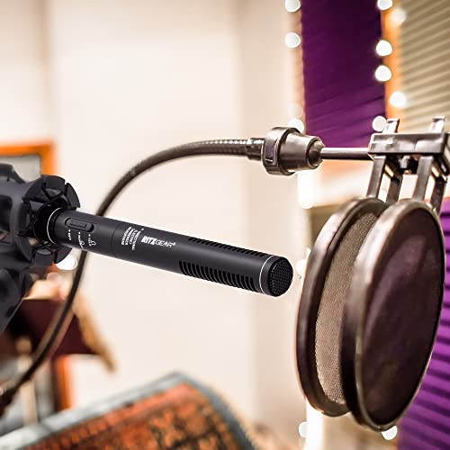 Professional Video & Broadcast Microphone | 10.8" Unidirectional Condenser Shotgun Mic for Indoor & Outdoor Film, Interview & Studio Recording for Camcorders and DSLR Camera - Black