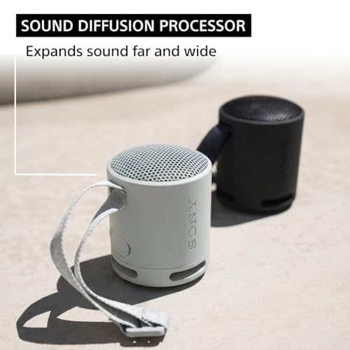 Sony SRS-XB100 Wireless Bluetooth Portable Lightweight Speaker, Light Gray | 16 Hr Battery, Super-Compact Travel Speaker, IP67 Waterproof & Dustproof Shower Speaker, Versatile Strap, Hands-free Calling - color: Light Gray
