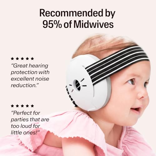 Alpine Muffy Baby Ear Muffs Noise Protection | Toddler Ear Protection | For babies up to 4 years | 24dB Sound Reduction | Baby Hearing Protection | Noise Reduction | Baby Essentials New Mom Gifts - color: Black
