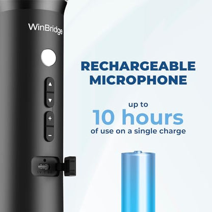 Bluetooth Microphone Wireless Voice Amplifier With 3 Sound Effects H9