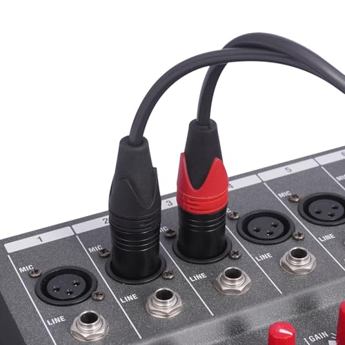 RCA to XLR HiFi Audio Cable 10 Feet, 2 RCA Male to 2 XLR Male, Black with Red/Black Tail, 4N OFC Wire and Gold-Plated Conductors for Amplifier, Mixer, Microphone - size: 10FT, style: 2 RCA Male to 2 XLR Male