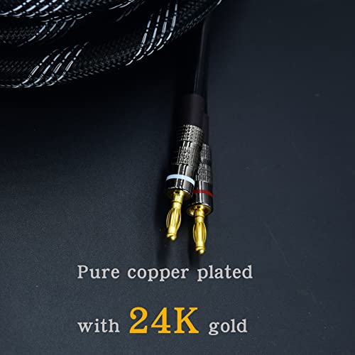 Arklove 2pack 10ft 12awg Premium Heavy Duty Braided Wire Dual Banana to Banana Gold Plated Plug Speaker Cable OFC Oxygen-Free Copper - size: 10ft