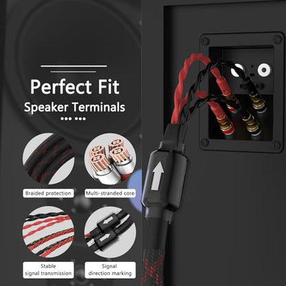 Tertullus Audiophile Biwire Speaker Cable Spade to Banana Plug, 1 Pair HiFi Speaker Cable High-Fidelity Sound Cables with 4 Spade and 8 Banana Plugs (2.5m/8.20ft) - size: 2.5m/8.20ft
