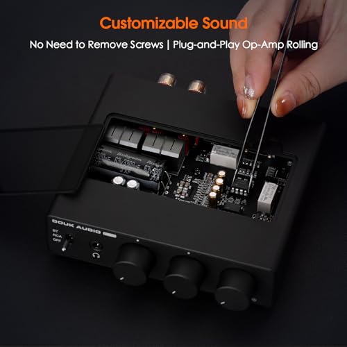 Douk Audio 2 Channel Bluetooth Amp: HiFi Stereo Amplifier | 300W×2 TPA3255 | Class D PFFB | Bass Treble Control | Headphone Out for Home Theater, Bookshelf Speakers (48V PSU)