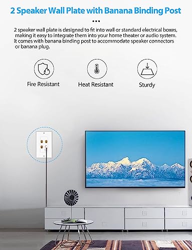 Banana Binding Post Wall Plate for 2 Speakers, White