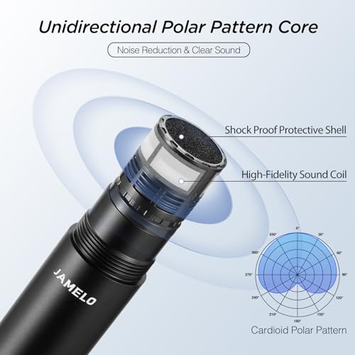 Wireless Microphones, 2.4 GHz Metal Rechargeable Wireless Mics with Dual Professional UHF Handheld Karaoke Microphone System with Receiver, Dynamic Mic for Church, Singing, Speech, Wedding, Party - color: Rechargeable