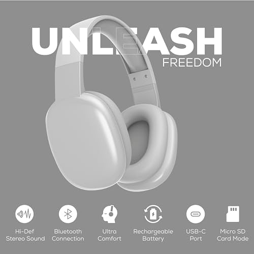 Gabba Goods Wireless Over Ear Bluetooth Headphones with Microphone - Wireless Headset -Noise Reduction - Bluetooth, Wired,Built in Micro SD for Travel, Home, Work TV,PC,Gaming,Cellphone (Silver) - color: Silver