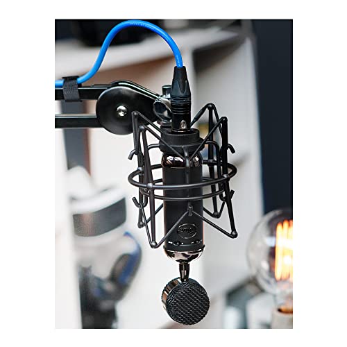 Blue Blackout Spark SL XLR Condenser Microphone for Pro Recording, Streaming, Podcasting, Gaming, with Large Diaphragm Cardioid Mic Capsule, Shockmount, Detailed Natural Sound, Protective Case - Black