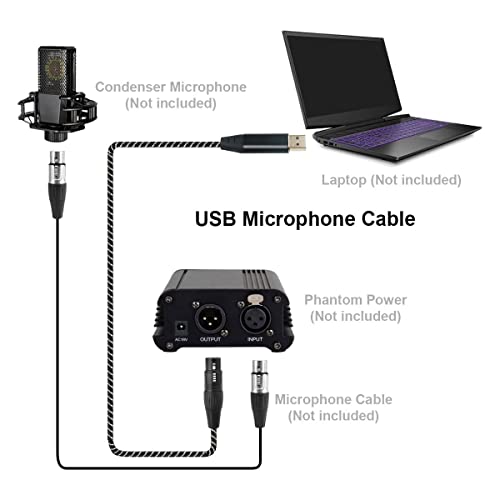 XLR Female to USB-A Recording Cable, USB Microphone Cable - 3M/10FT - size: 10FT