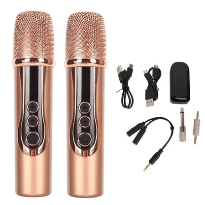 2.4G Wireless Microphone, ABS 15M Long Distance Transmission Whistling Suppression DSP Noise Reduction Chip 6.35mm 3.5mm Adapters Microphone for Outdoor Speaker (1 to 2) - size: 1 to 2