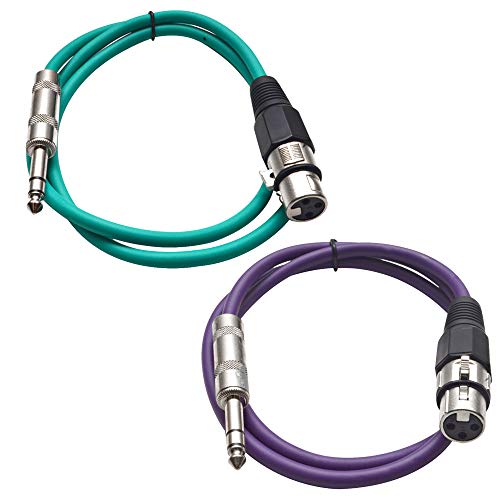 Seismic Audio - SATRXL-F2-2 Pack of 2 Foot 1/4 Inch TRS to XLR Female Patch Cables - Balanced - 2 Foot Patch Cord - Green and Purple - color: Green and Purple
