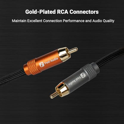 Fosi Audio 2RCA to 2RCA Cable 0.9Ft, Gold-Plated 2 RCA Male to 2 RCA Male Stereo Audio Cable for Home Theater Systems/Amplifier/Preamplifier/Active Speakers(0.3m/0.9Ft)