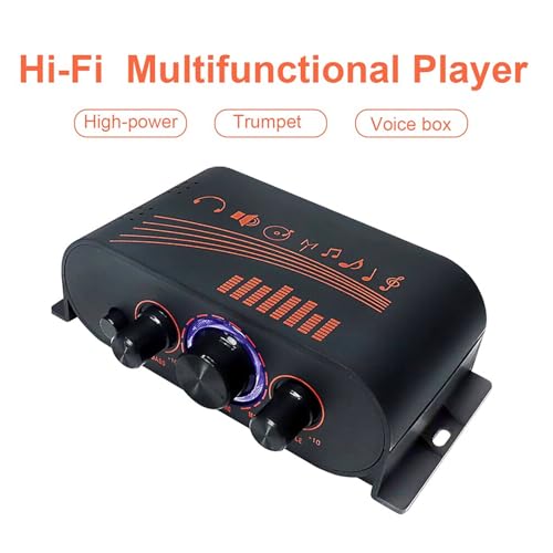 HiFi Power Amplifier 2 Channel Audio Power Amplifier Audio Amplifier Stereo Receiver Mini Power Amp 40W DC12V for Home Car Speakers TV Mobile Phones