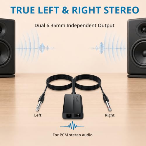 AUTOUTLET Optical to Dual 6.35mm Converter, 192kHz Toslink SPDIF to Dual 1/4" Male Stereo Analog Audio Adapter with Integrated Cable and Optical Cable for Amplifier, Powered Speaker, Mixer