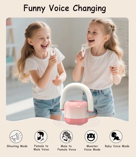 EWA Portable Mini Metal Karaoke Machine, Bluetooth Karaoke Speaker with 2 Wireless Microphones, Ideal Gifts for Girls Boys Family Home Party Birthday Christmas Toys Gifts-(Pink) - color: Pink